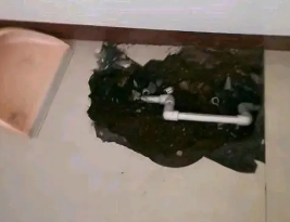 崖州卫生间测漏水多少钱